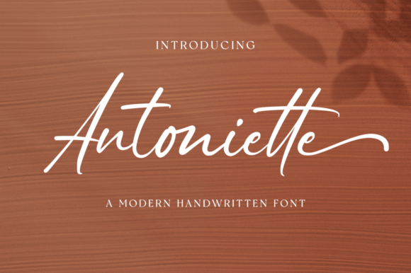 Antoniette Font for Web Design