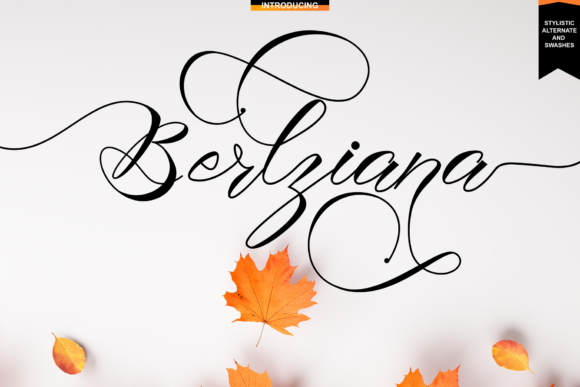 Berlziana: A Romantic Font for Creative Campaigns